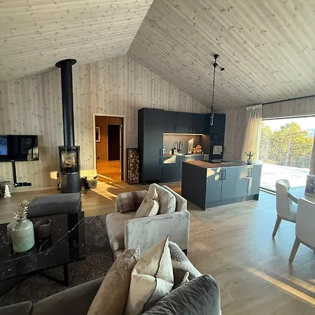 Ny I Vakre Oppdal, Norge