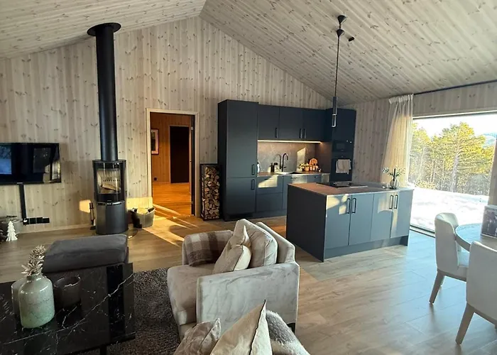 Ny I Vakre Oppdal, Norge