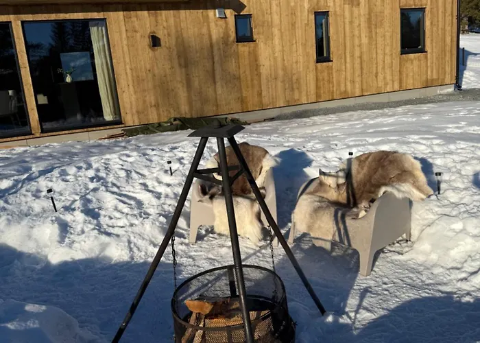 Ny I Vakre Oppdal, Norge Fagerhaug
